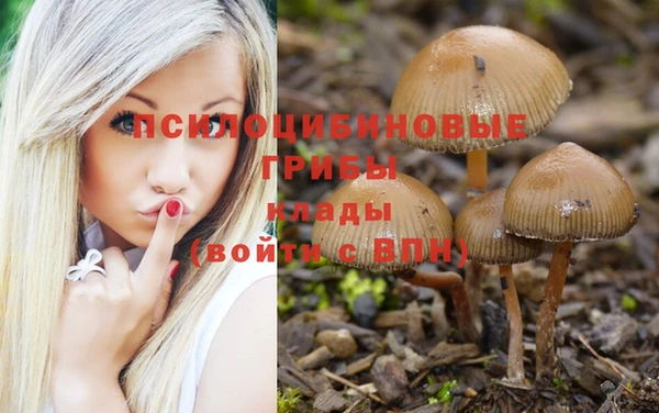гидропоника Алексеевка
