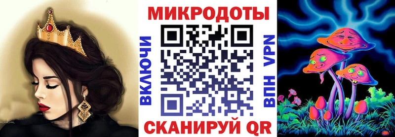 Галлюциногенные грибы Psilocybe  Пикалёво 